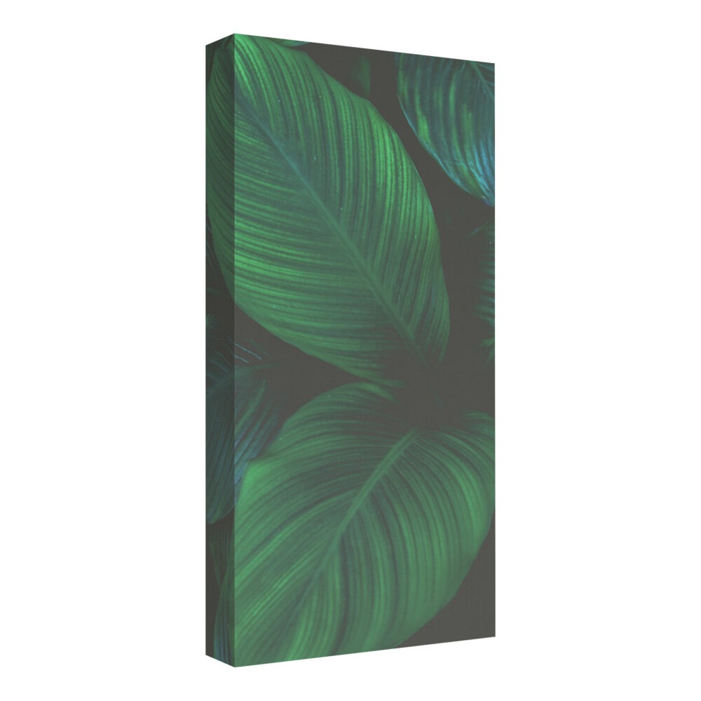 Cuadro acústico OUTLET - Nature_1, 100 × 50 cm, 11 cm