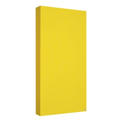 2 x Absorbedor Standard 100x50x11 Amarillo