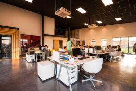 Cómo reducir el ruido en la oficina: lo que realmente funciona?