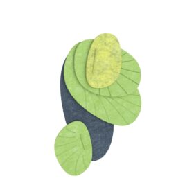 resonance_bloom__Forest-Moss-1